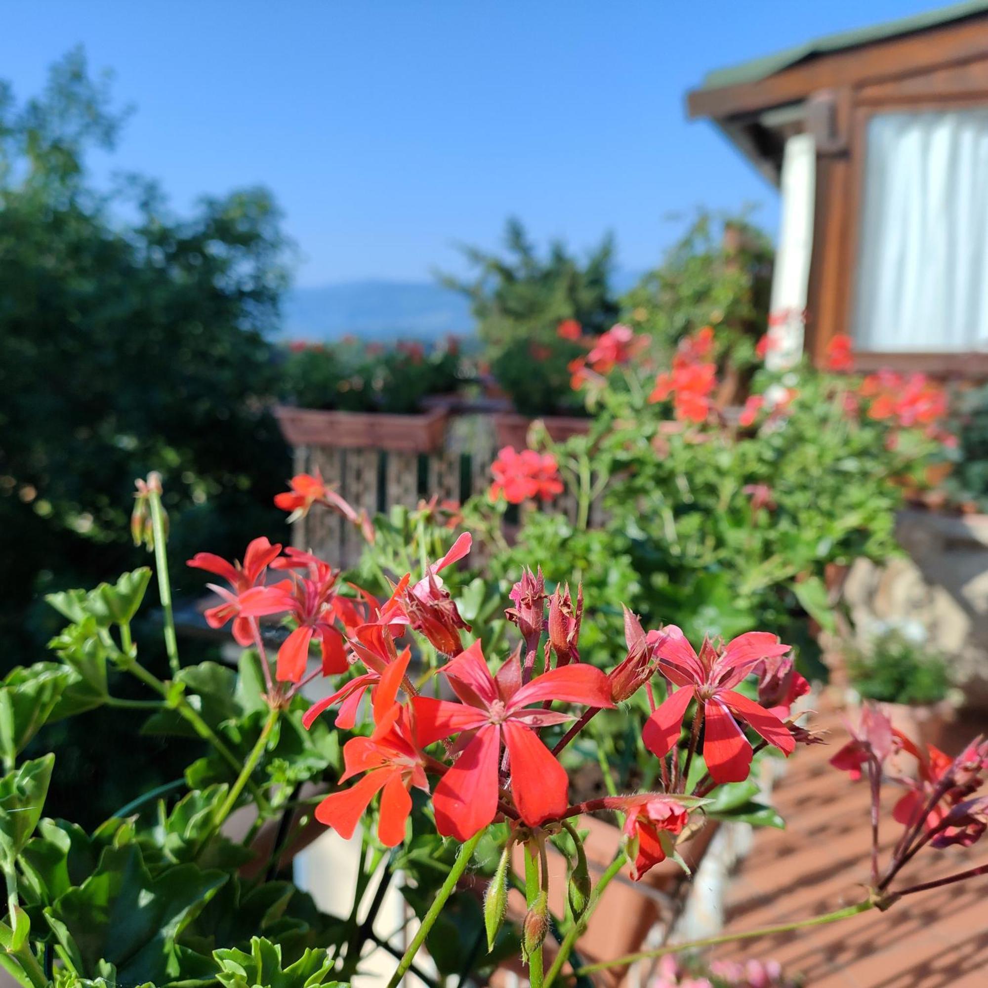 Casa Vacanza In Casentino Bibbiena Eksteriør bilde
